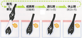 畆̍\